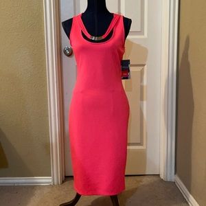 Brand New Sexy Stretch Dress